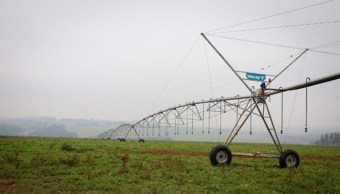  Decreto estabelece formas para agricultores acessarem subvenção do Irriga Paraná